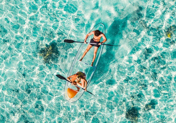 Underwater Grenada In Clear Bottom Kayak Costa Cruises