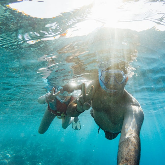  Cruises 2025-2026: all the best destinations 