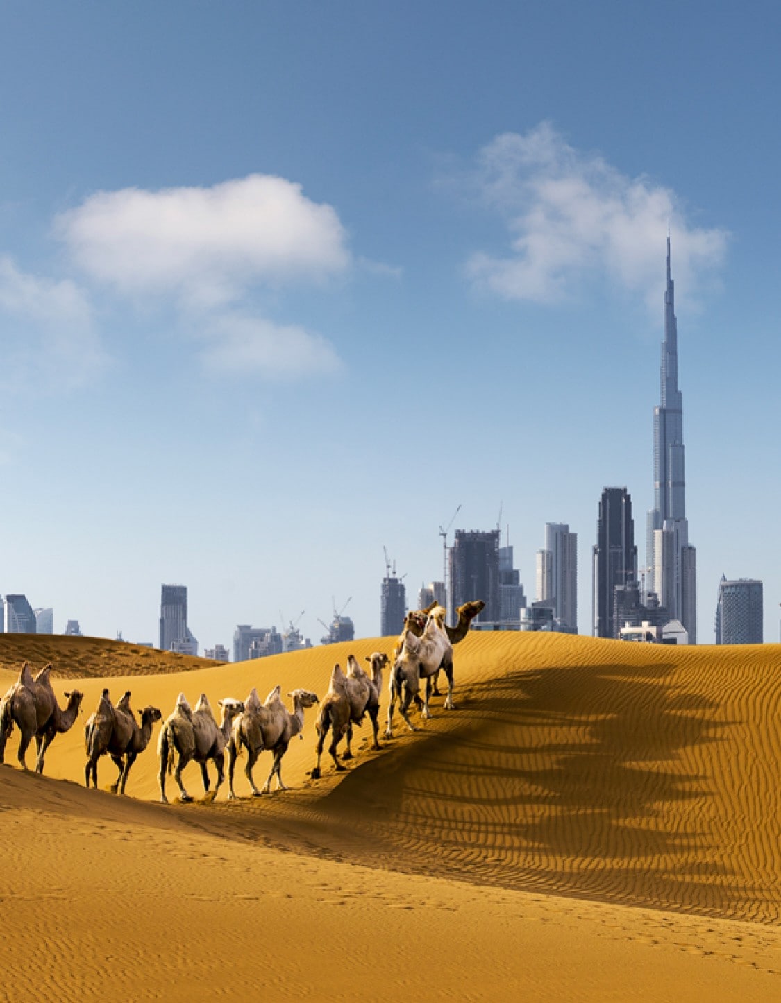  Costa Cruises and Expo 2020 in Dubai 