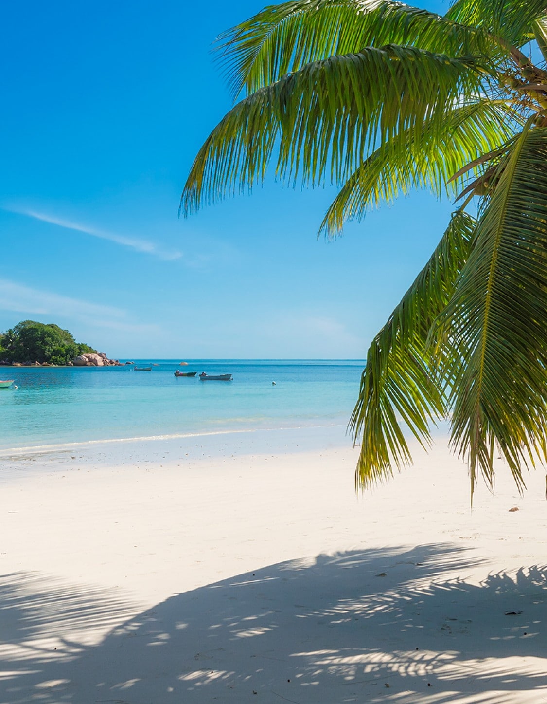 The amazing Negril sunset 🇯🇲, image size:1125x1446