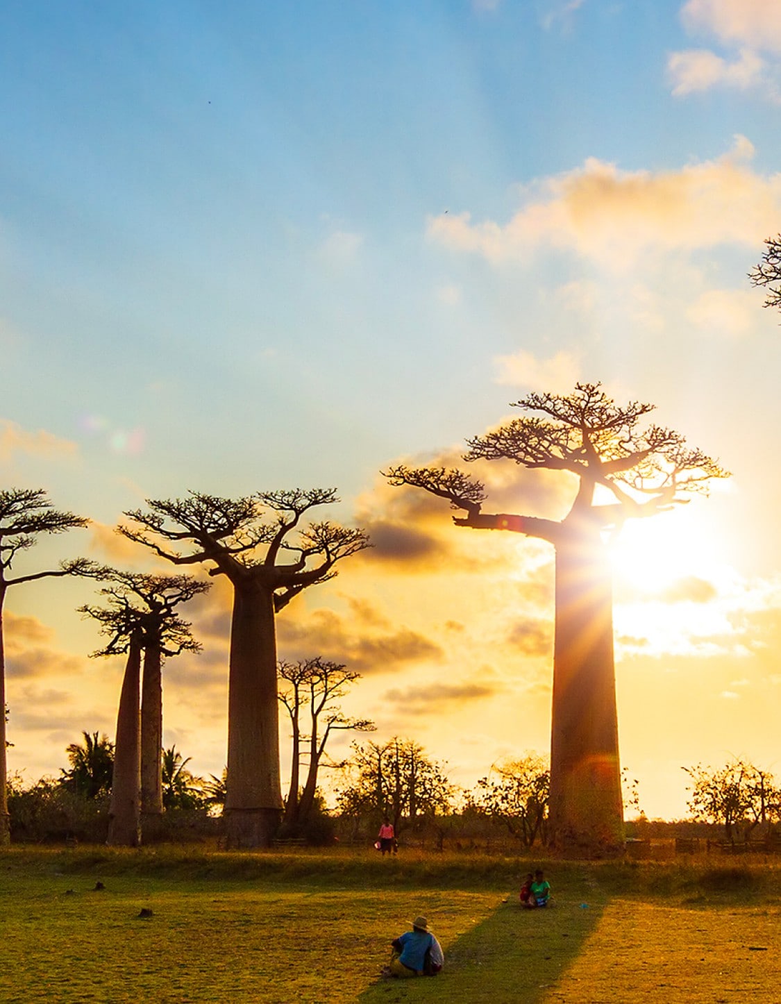 Cruises to Madagascar: departures & deals | Costa Cruises