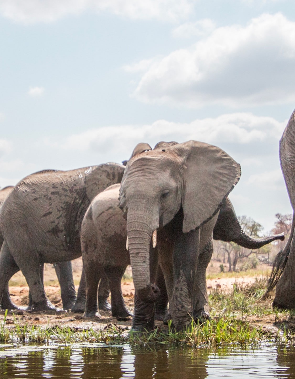 cruise to south africa