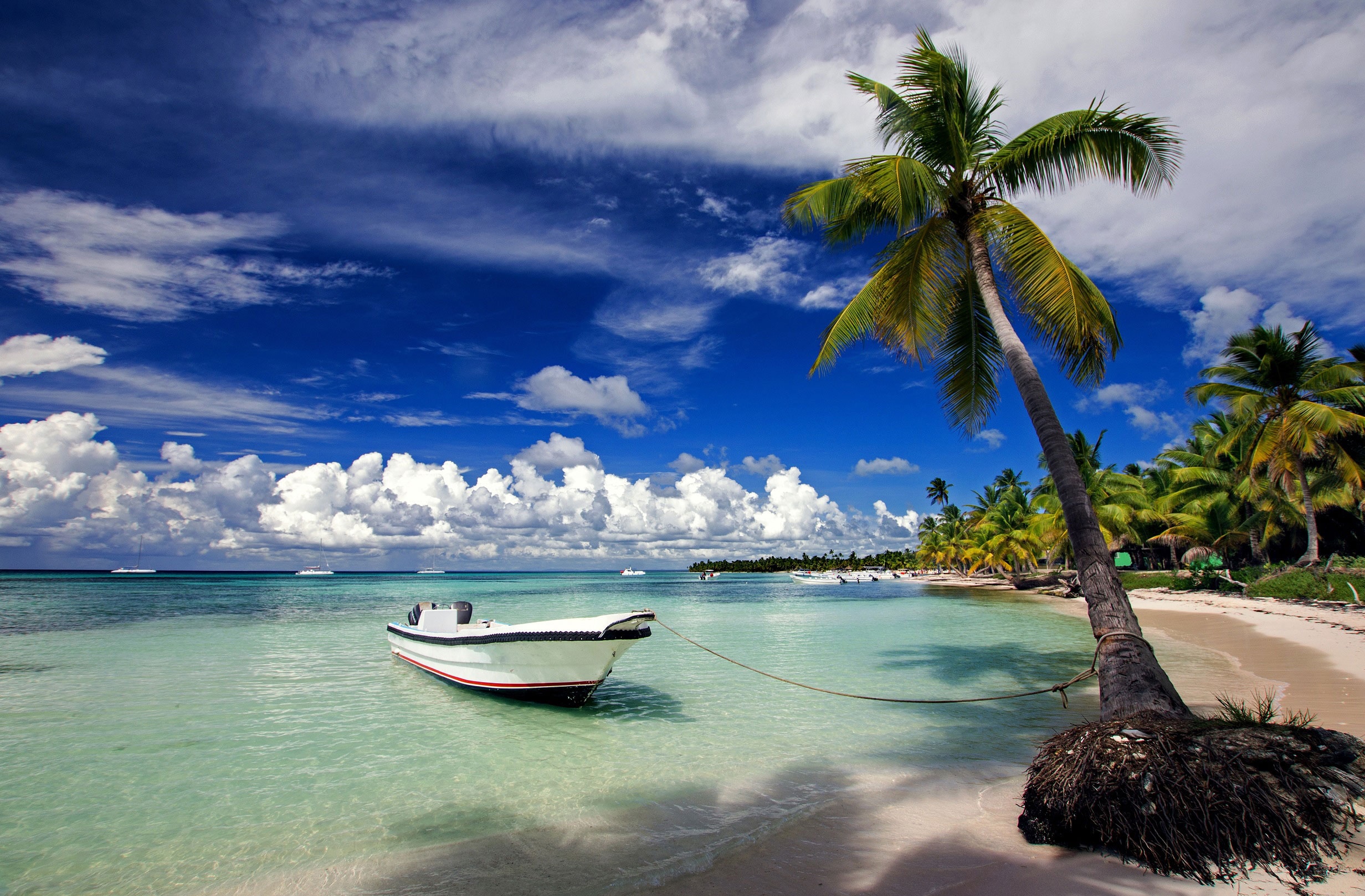 Topless Beach Pics Of Dominic Republic - qim6o1s