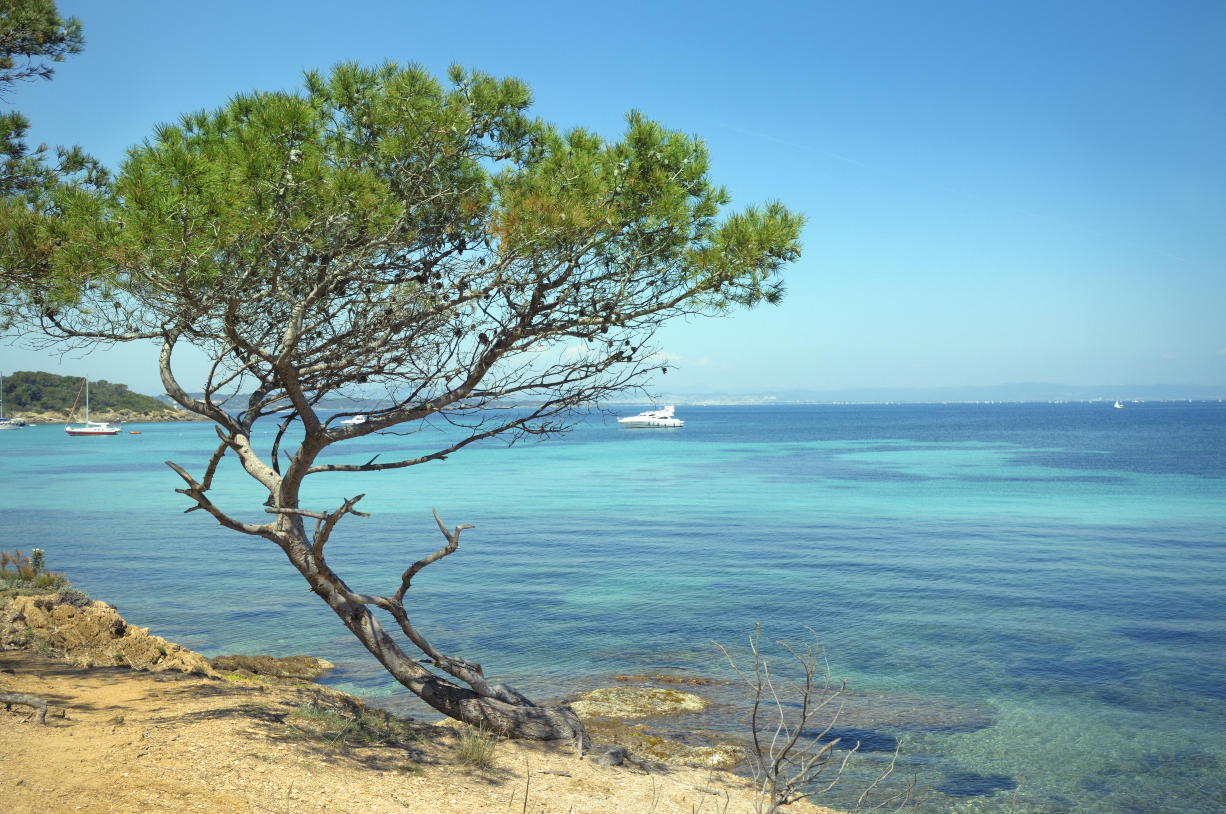 Girls in La Seyne-sur-Mer